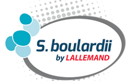 S.boulardii by lallemand