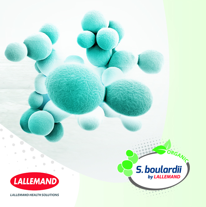 A Probiotic Breakthrough by Lallemand